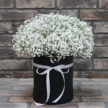 Цветочная композиция из Гипсофила в шляпной коробке #REPLACE_PRED# Белом Яре Ханты-Мансийского АО